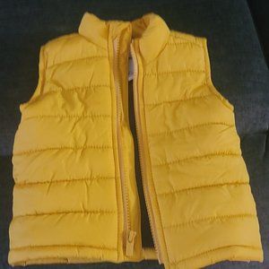 Vest
